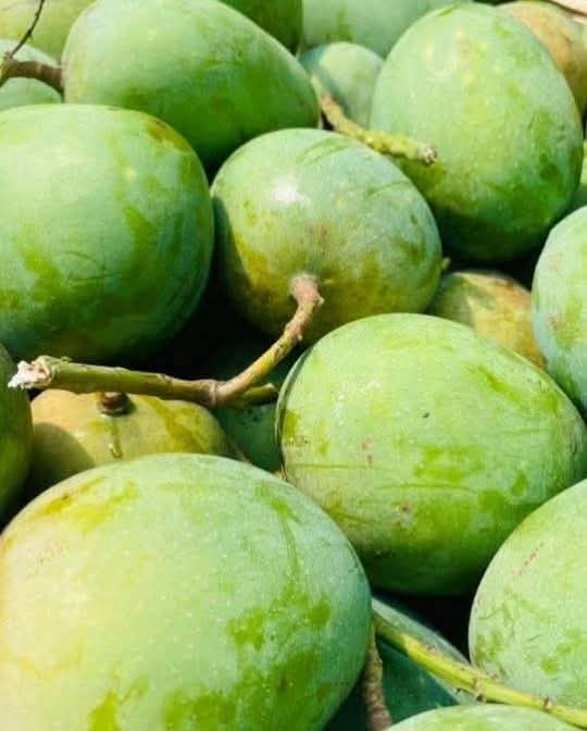 ২০ কেজি ফ্রেস হিম সাগর বাছাইকৃত আম ২০ কেজি/20 kg